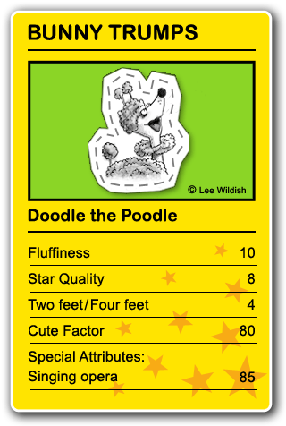 Doodle the Poodle